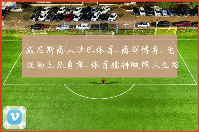 威尼斯商人沙巴体育,商海博弈,竞技场上见真章,体育精神映照人生路