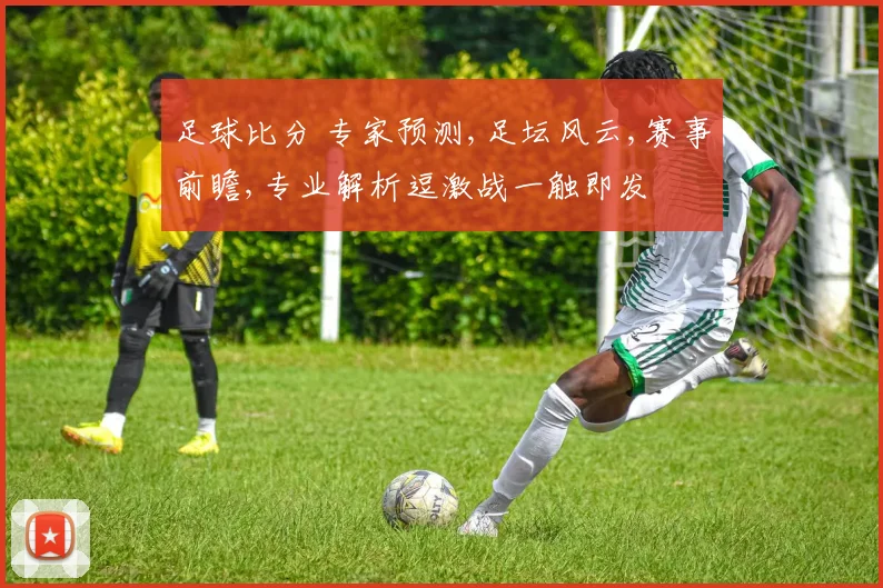 足球比分 专家预测,足坛风云,赛事前瞻,专业解析逗激战一触即发